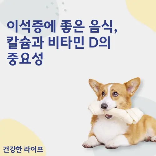  이석증에 좋은 음식, 칼슘과 비타민 D의 중요성