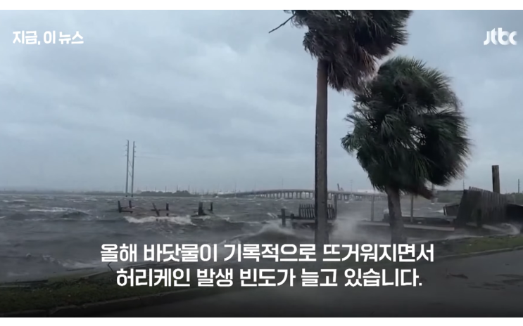 "<b>허리케인</b> 헐린 생중계 중 직접... 태풍속 <b>기상캐스터</b> 밥 반... 
