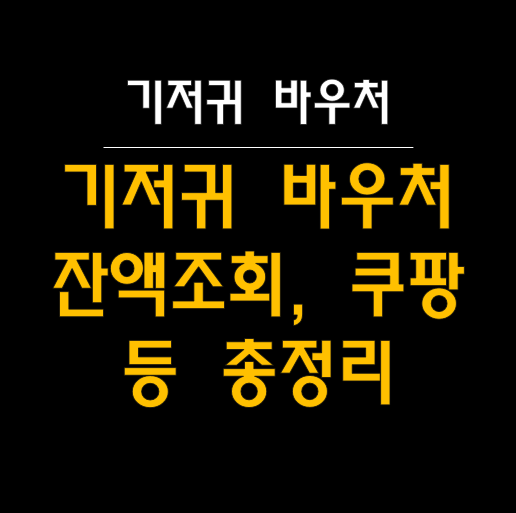  기저귀 바우처 잔액 확인 및 조회, 쿠팡 구매 방법 등 총정리! 🏻