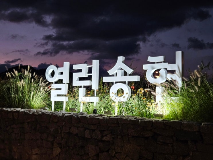  열린송현 녹지광장 코스모스 가을 꽃구경 안국역 서울 야간 데이트