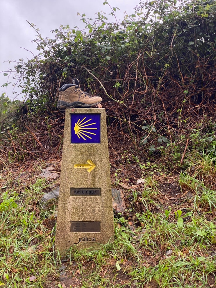  [산티아고 순례길] 포르토마린에서 팔라스데레이 24.8km / 순례길 요리사!