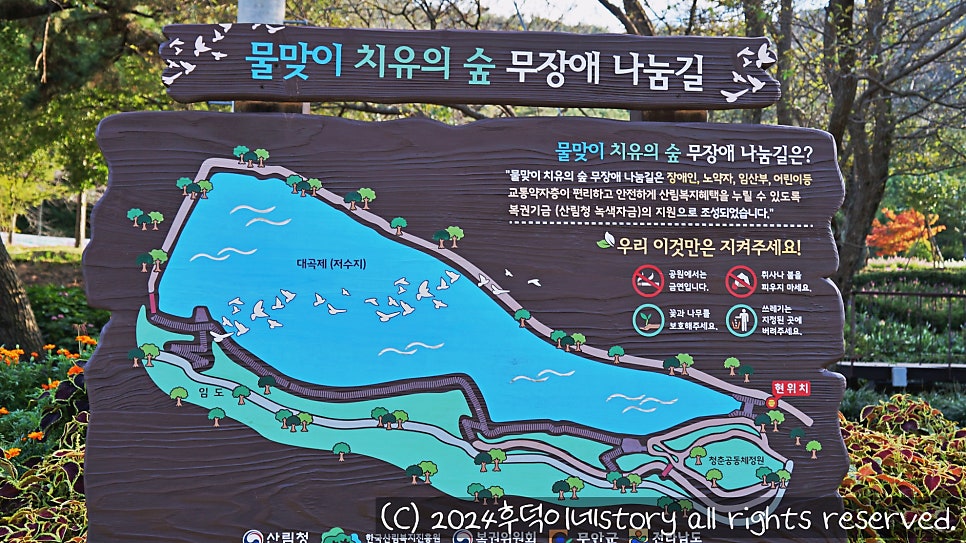 대곡제 사진 6