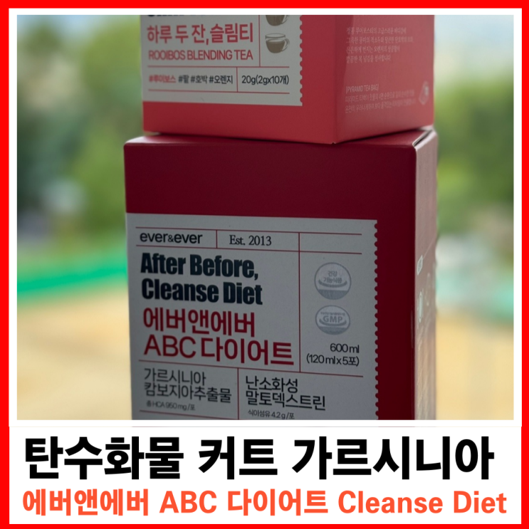  장건강과 혈당케어 에어앤에버 다이어트 티