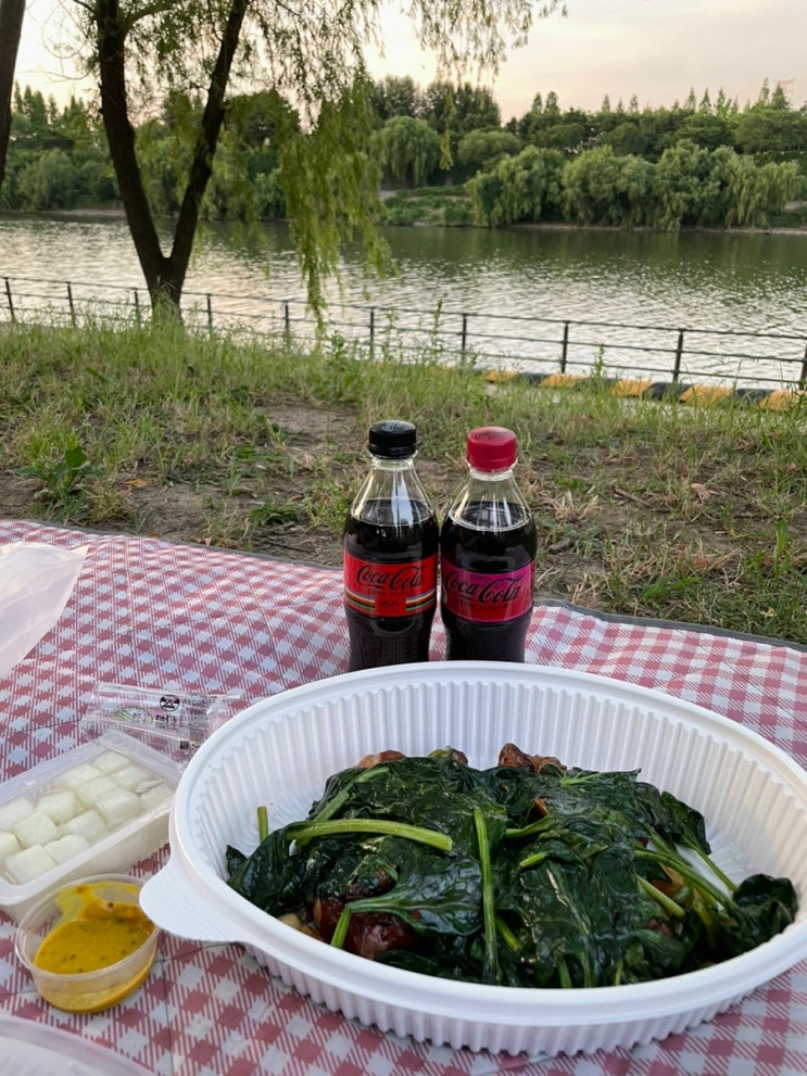  [문래 맛집] 양키통닭2호점 시금치통닭 포장, 한강에서 먹은 후기