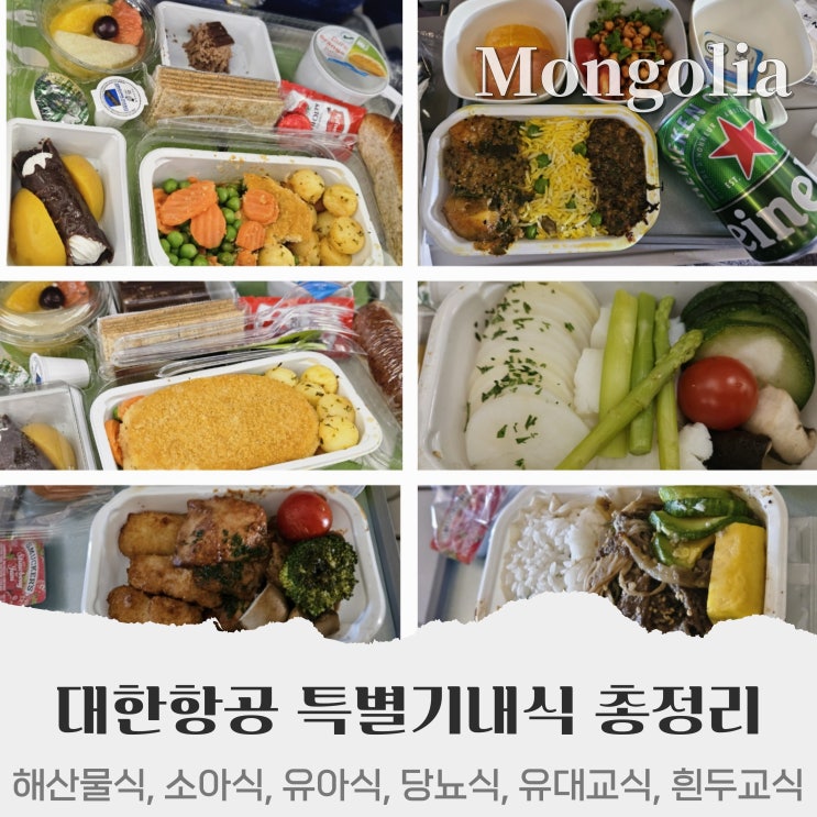  대한항공 특별 기내식 메뉴 종류 시간 총정리 (해산물식 과일식 이슬람식 흰두교식 당뇨식 소아식 유아식)