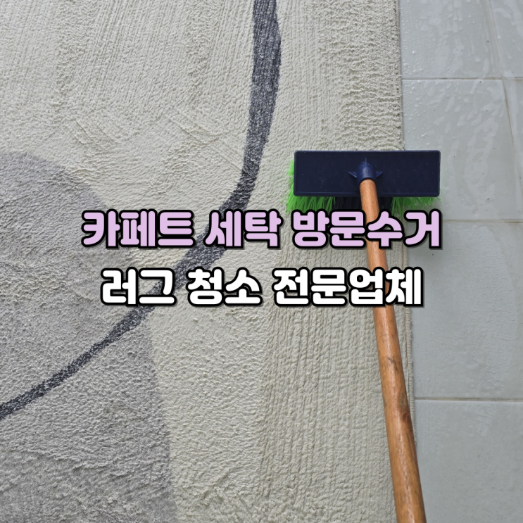 천안 카페트 방문수거 청소 세탁 전문업체