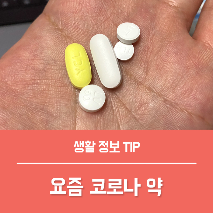  코로나 약 화이자 팍스로비드 복용법, 요즘 코로나 치료제는?