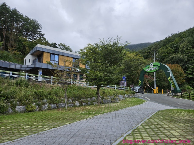 [캠핑] 숲속의 조용한 청도자연휴양림 오토캠핑장