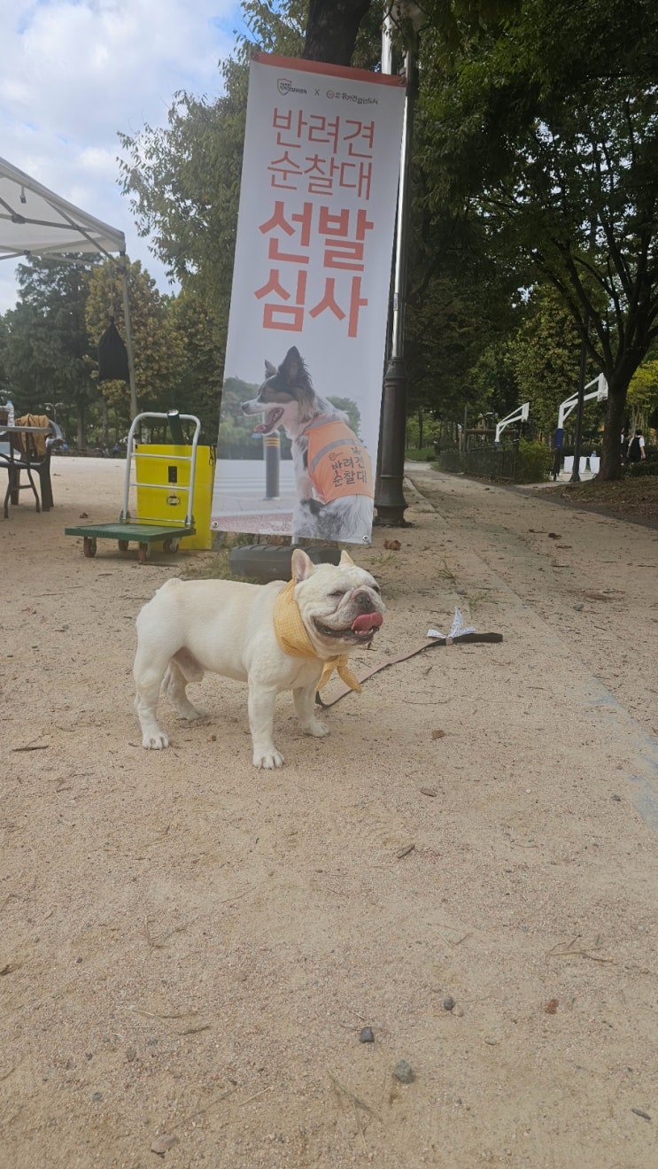 서울 <b>반려견 순찰대</b> 보라매공원 시험 합격후기