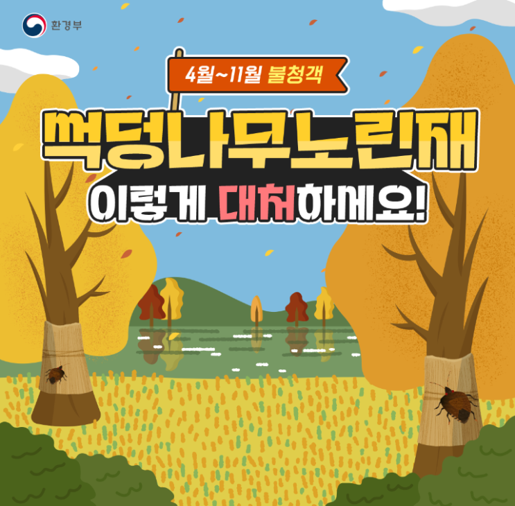 불청객해충 - 썩덩나무노린재 이렇게 대처하세요!