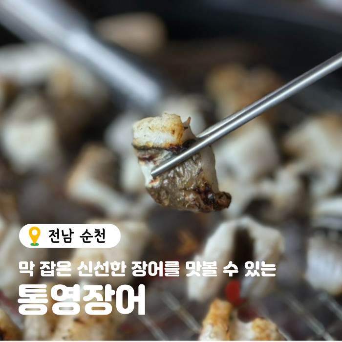  순천장어 맛집, 막 잡은 장어를 맛볼 수 있는 순천 통영장어 후기