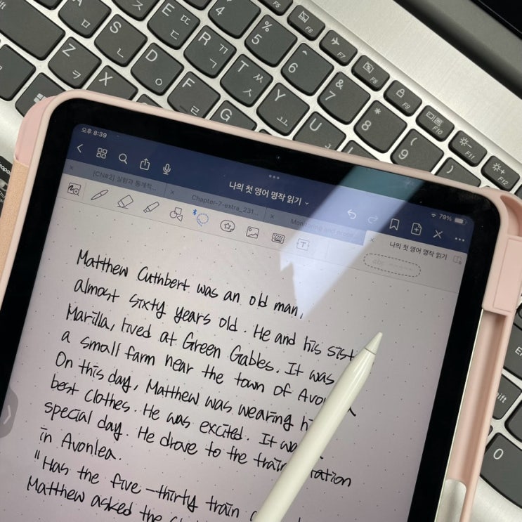  다락원 영어 필사  [나의 첫 영어 명작 읽기 - 빨간 머리 앤] 수강 후기