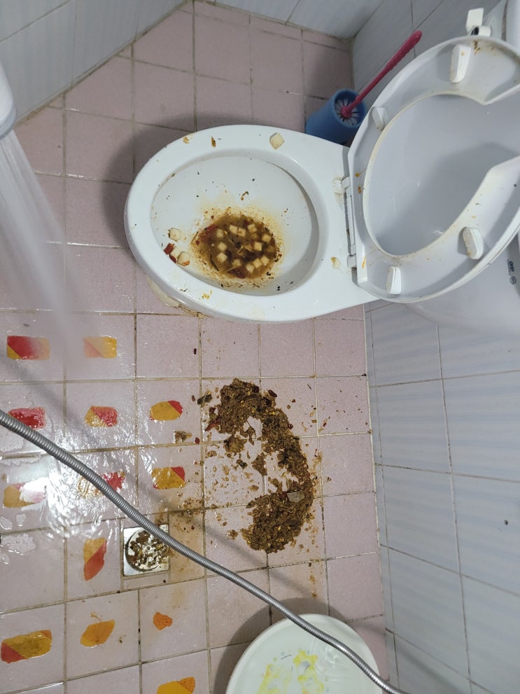  위층에서 변기에 버린 음식물 때문에 변기역류 똥물 넘침 화장실 잘 뚫는 곳 서울 경기