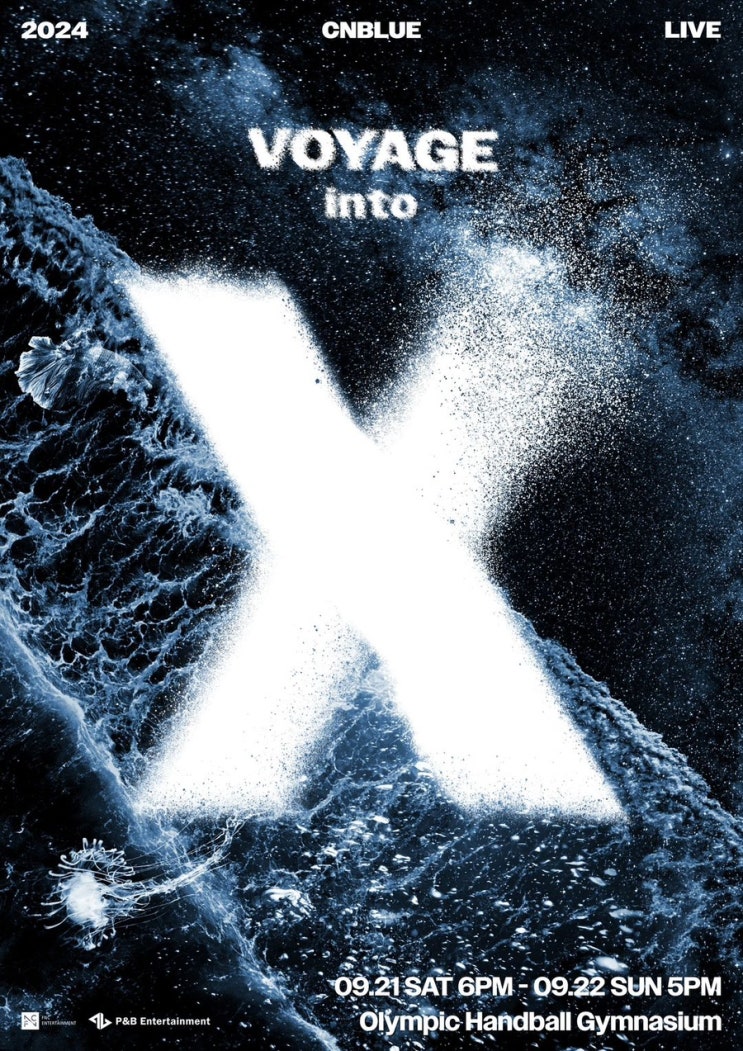  2024 CNBLUE LIVE - VOYAGE into X Seoul | 올림픽공원 SK올림픽핸드볼경기장 스탠딩 시야