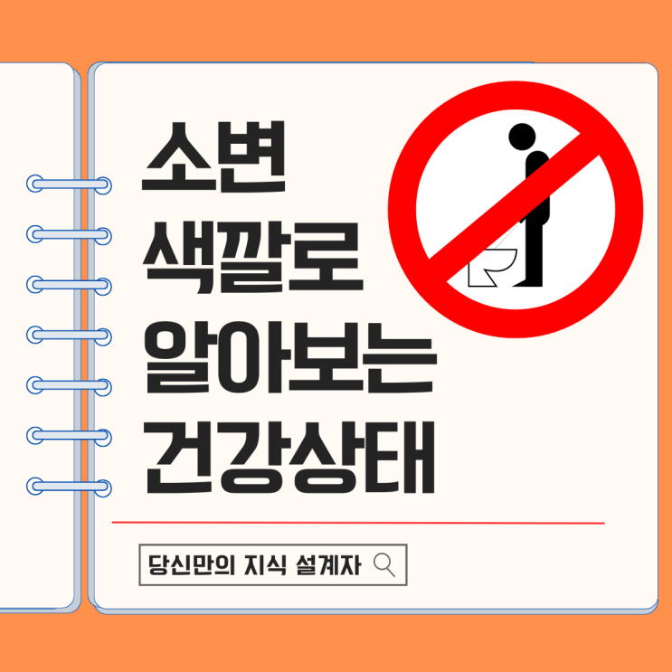  소변 색깔로 알아보는 건강 상태 원인 거품 증상 해결 방법