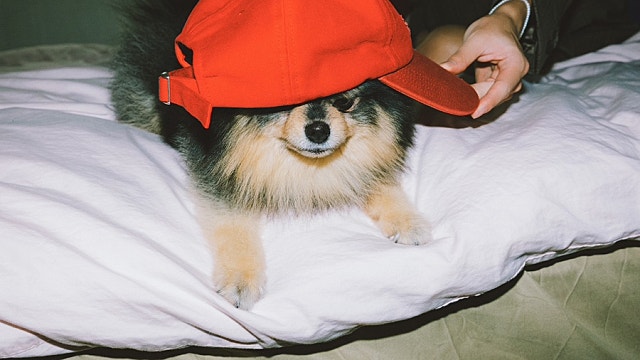 News image: No-skip album status confirmed