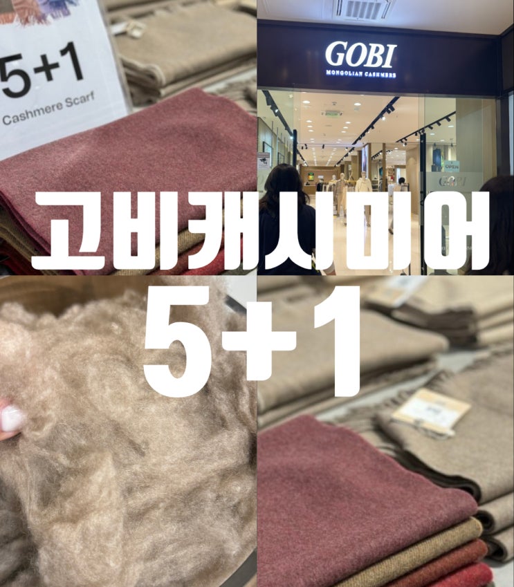  몽골 여행 고비 캐시미어 고비팩토리 5+1 꿀팁 스카프 목도리 선물용으로 강추