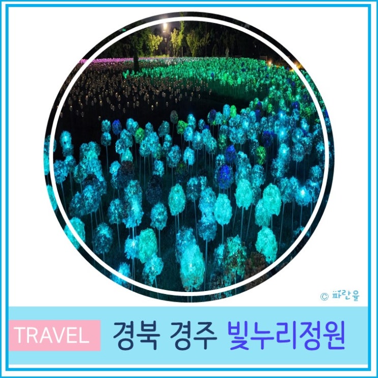  경주 야경 명소 빛누리 정원 LED 조명 꽃 경주 밤에 가볼만한 곳
