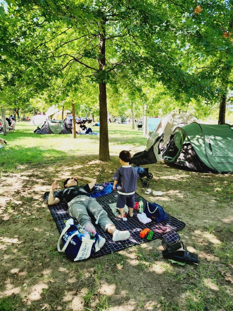 여의도 한강공원 피크닉, 준비물은 돗자리 한 장!