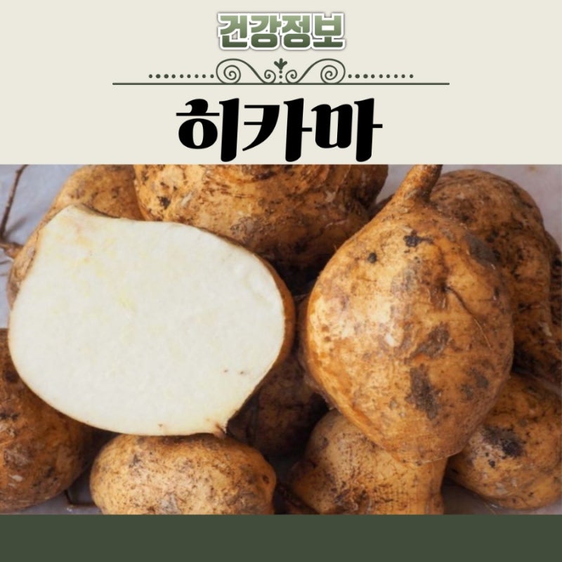 히카마 가격 효능 칼로리 부작용 보관 먹는법