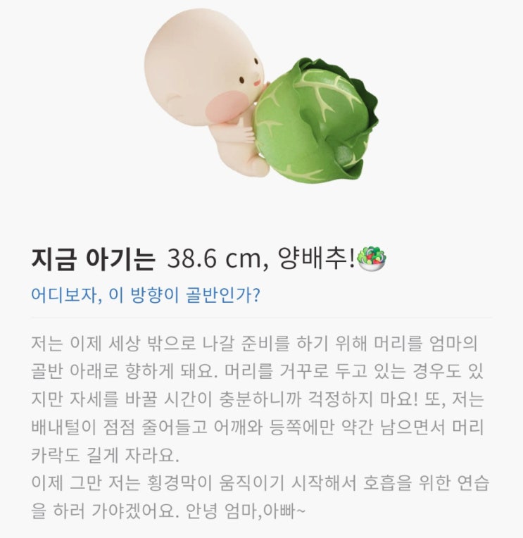  [임신일기] 출산육아용품 준비, 밀린 약속으로 바빴던 30주