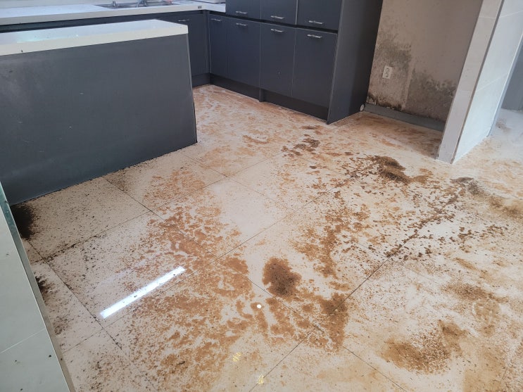  공동 배관역류 1층 집안 하수구 물난리 스케일링 고압세척 잘 뚫는 곳