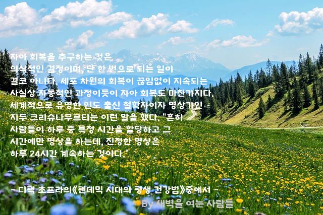 자아 자아
