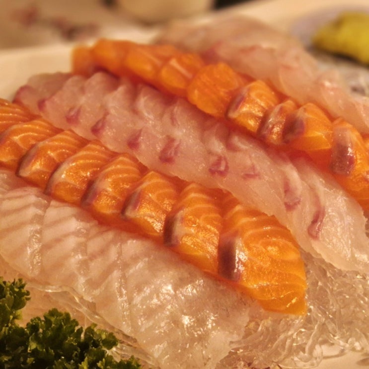  건대 입구 맛집 건대사시미 가성비 횟집 내돈내산
