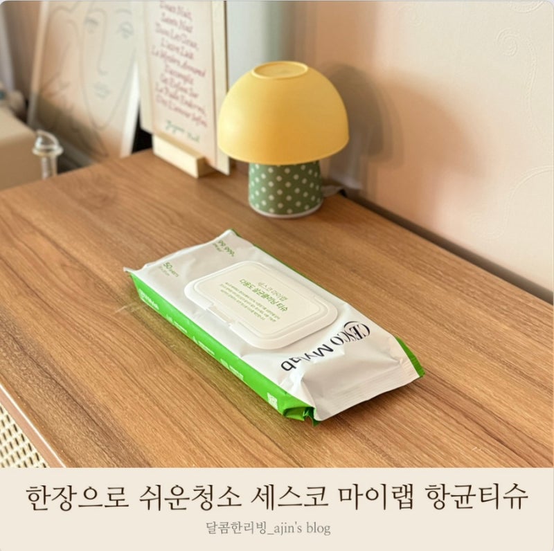 항균 청소용 물티슈 세스코 마이랩 살균티슈 로 쉬운 살림해요