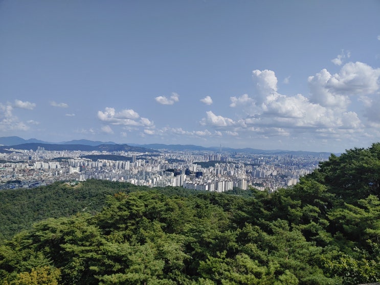  기업구조조정 성공가능성 제고를 위한 과제