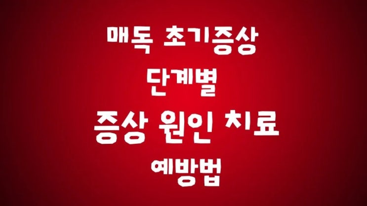  매독 초기증상 단계별 증상 감염 진단 단계별 치료약
