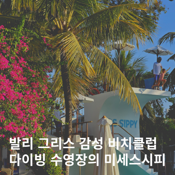  발리 스미냑 비치클럽 미세스시피 후기 다이빙 수영장 입장료