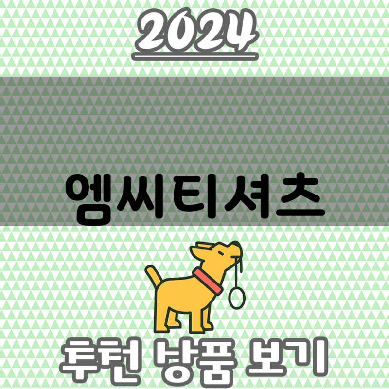 엠씨티셔츠 가성비와 품질 모두 잡았다  Top 3 엠씨티셔츠 비교 분석