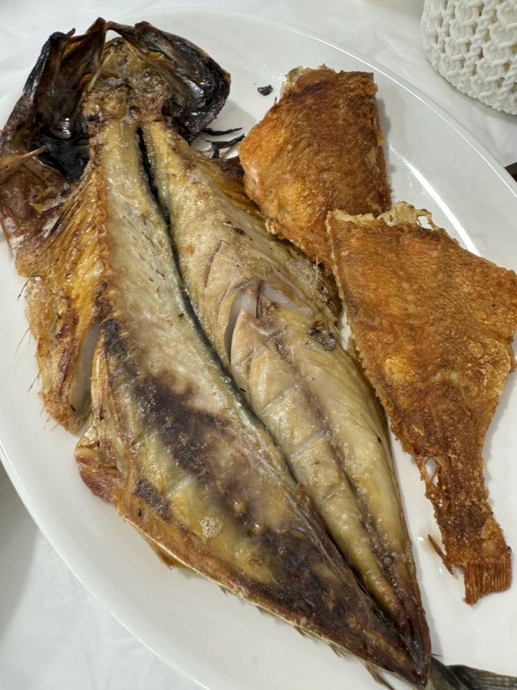  현지인 추천 속초생선구이맛집 바다향