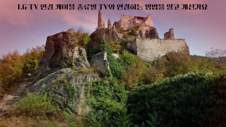  LG TV 연결 케이블 종류별 TV와 연결하는 방법을 알고 계신가요