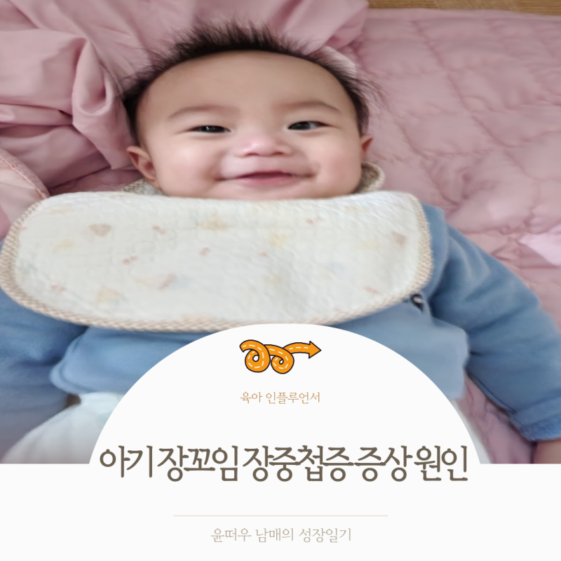 아기 장꼬임 장중첩증 증상 원인