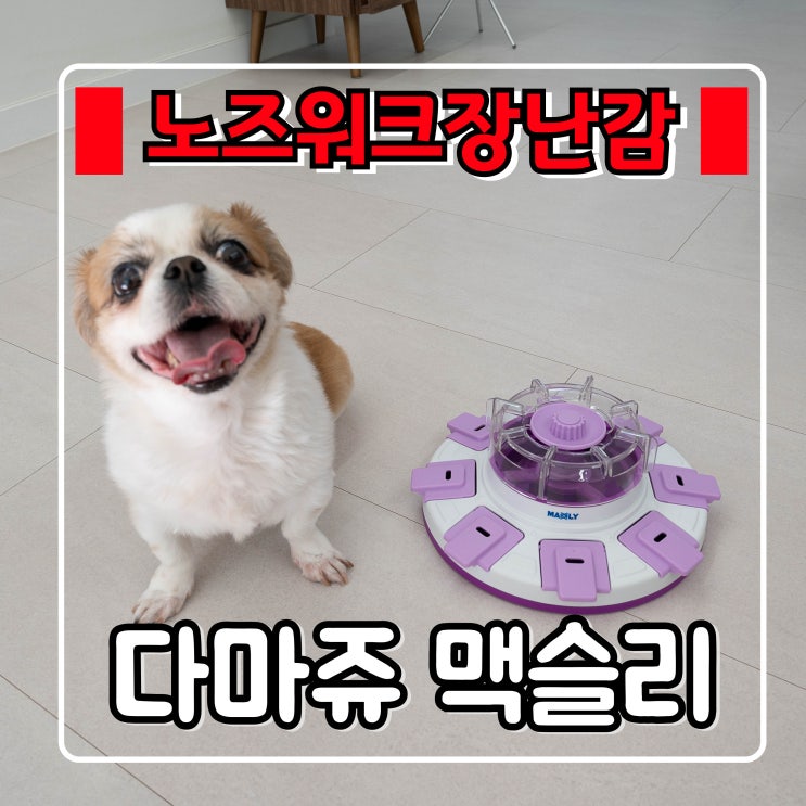  강아지 노즈워크 장난감 『 맥슬리 』 공 보다 어려운 간식놀이