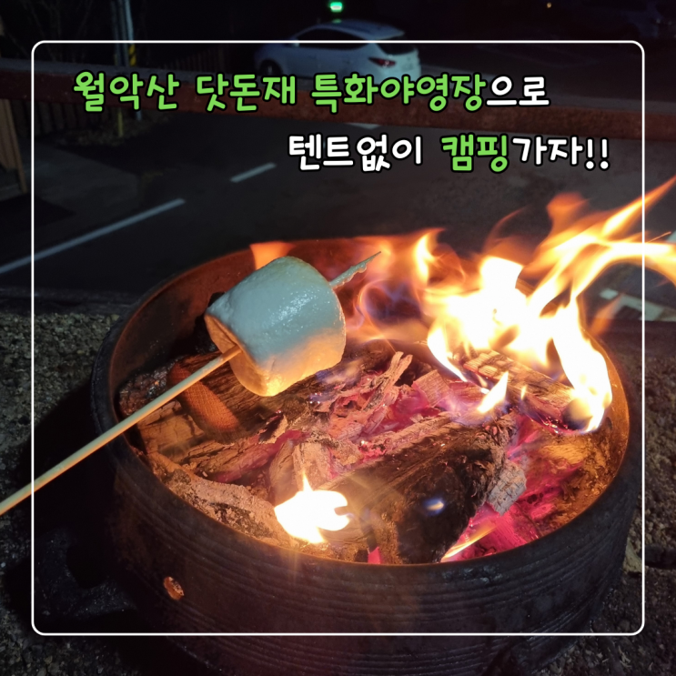  월악산 닷돈재 특화야영장 솔막 예약 및 이용후기