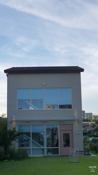 사진 3