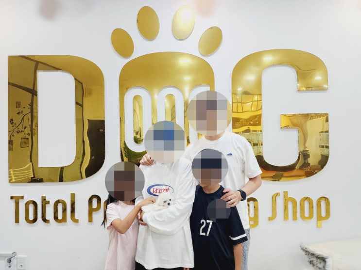  하늘로 보낸 말티즈와의 재회, 원독에서 만난 감동의 순간