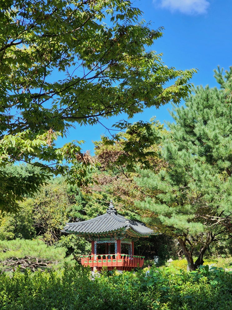 주말 나들이 일산 호수공원 가을 풍경 낮잠 자는 미어캣 주말 나들이 일산 호수공원 가을 풍경 낮잠 자는 미어캣