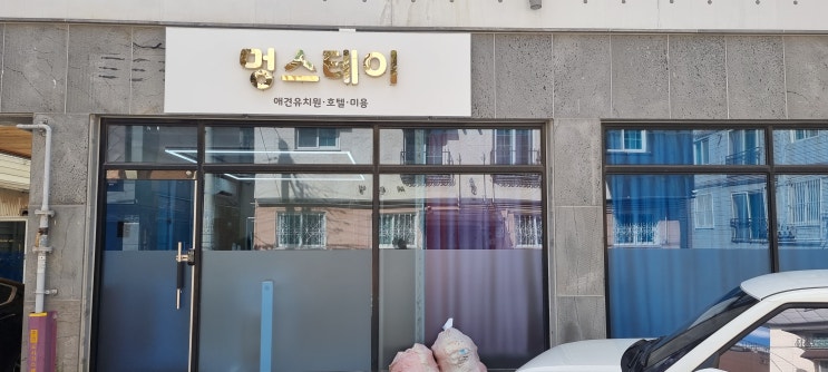  김해 장유 애견유치원 //부산목수 김해목수 창원목수 마산목수 진해목수 양산목수 셀프인테리어 목공