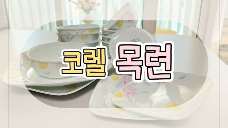 선물받은 코렐 목련, 김성훈도자기 후기, 단점, 처분결정