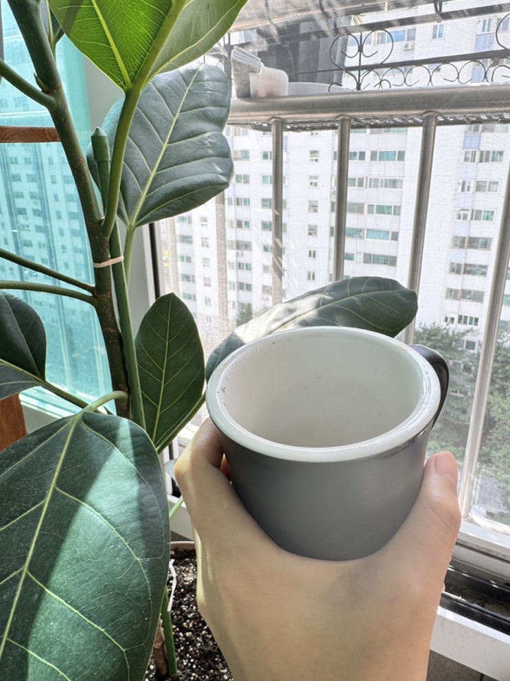 이번주 최대 소비는 애플워치