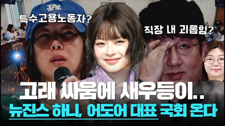 <b>뉴진스</b> 하니 국감 조사 환영... 끝내자 by <b>학폭</b> 멈춰 영상