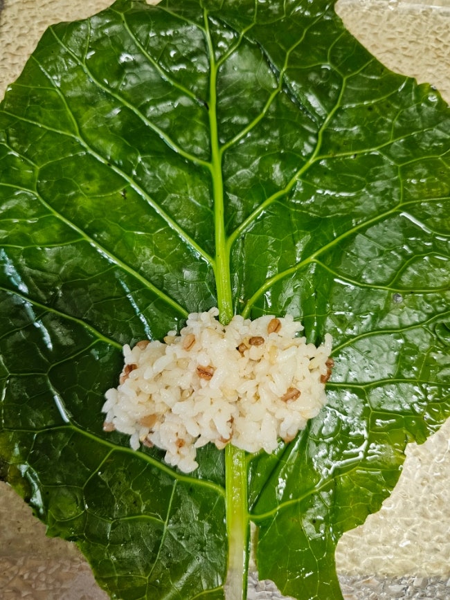 밥해대는 엄마들의 레시피연구(케일쌈밥,베테랑칼국수밀키트,두유면활용,이름에서 부터 섬뜩 마녀스프) 밥해대는 엄마들의 레시피연구(케일쌈밥,베테랑칼국수밀키트,두유면활용,이름에서 부터 섬뜩 마녀스프)