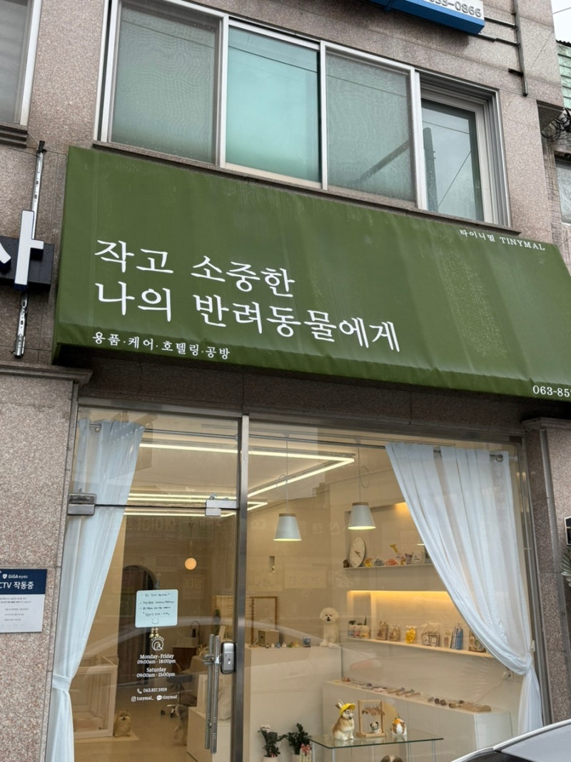 타이니멀