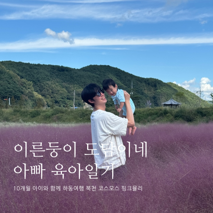 10개월 아이와 함께 하동여행 북천 코스모스 핑크뮬리 D+337 10개월 아이와 함께 하동여행 북천 코스모스 핑크뮬리 D+337