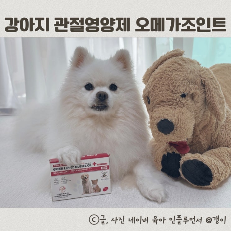  강아지 관절영양제 네이쳐스키오메가조인트