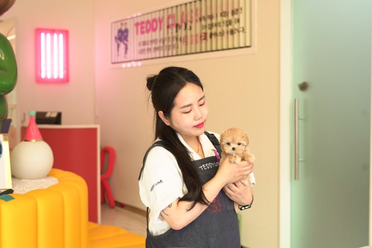  의왕강아지분양 초보견주라면 테디럽으로